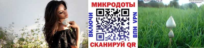 мега зеркало  Лагань  Галлюциногенные грибы MAGIC MUSHROOMS  как найти наркотики 