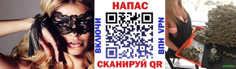 где купить наркоту  Лагань  Бошки марихуана индика 